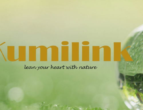 AXIS VERSATILE SDN. BHD. 角紙管ブランド「KUMILINK」― Managing Director 江尻浩治 インタビュー掲載のお知らせ